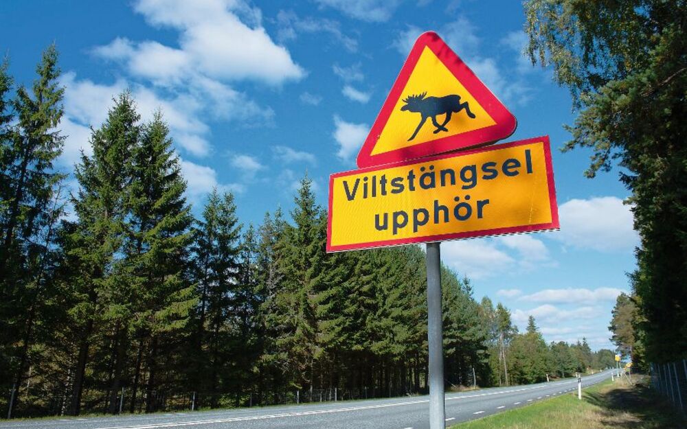 Verkehrszeichen in Schweden