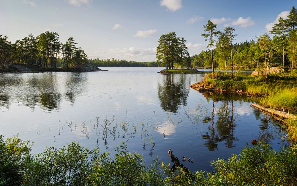 See im Glaskogen Naturreservat