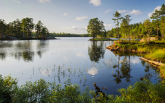 See im Glaskogen Naturreservat