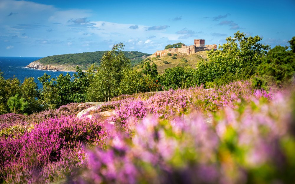Hammershus auf Bornholm
