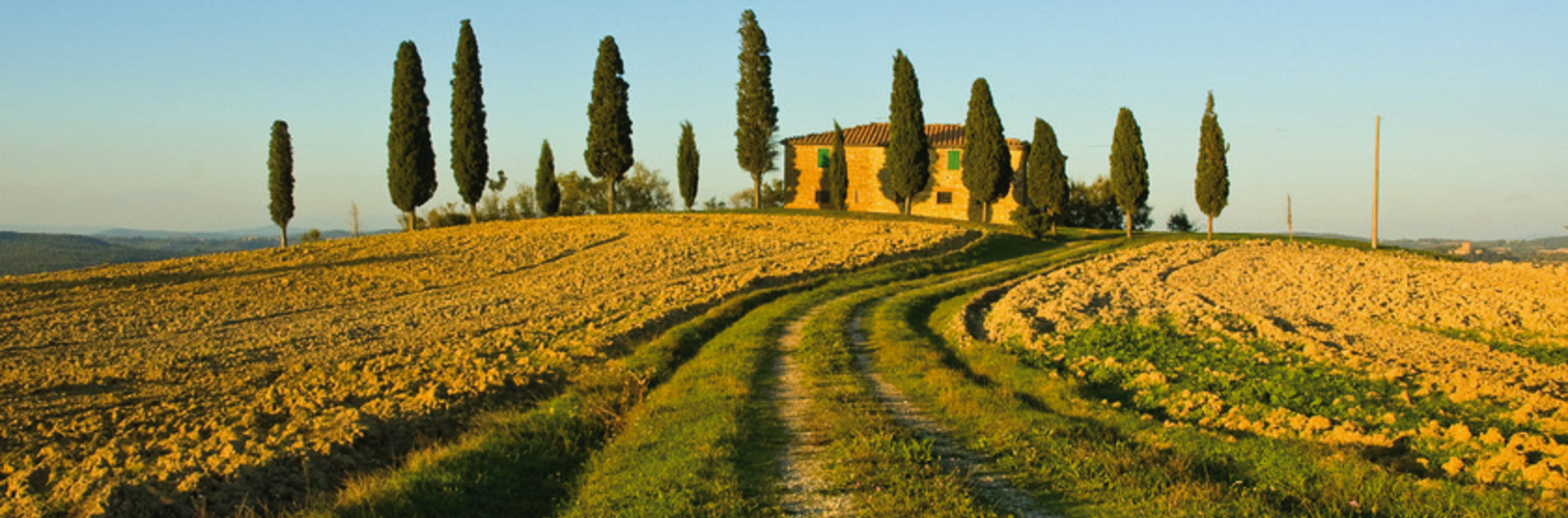 typical tuscan landscape