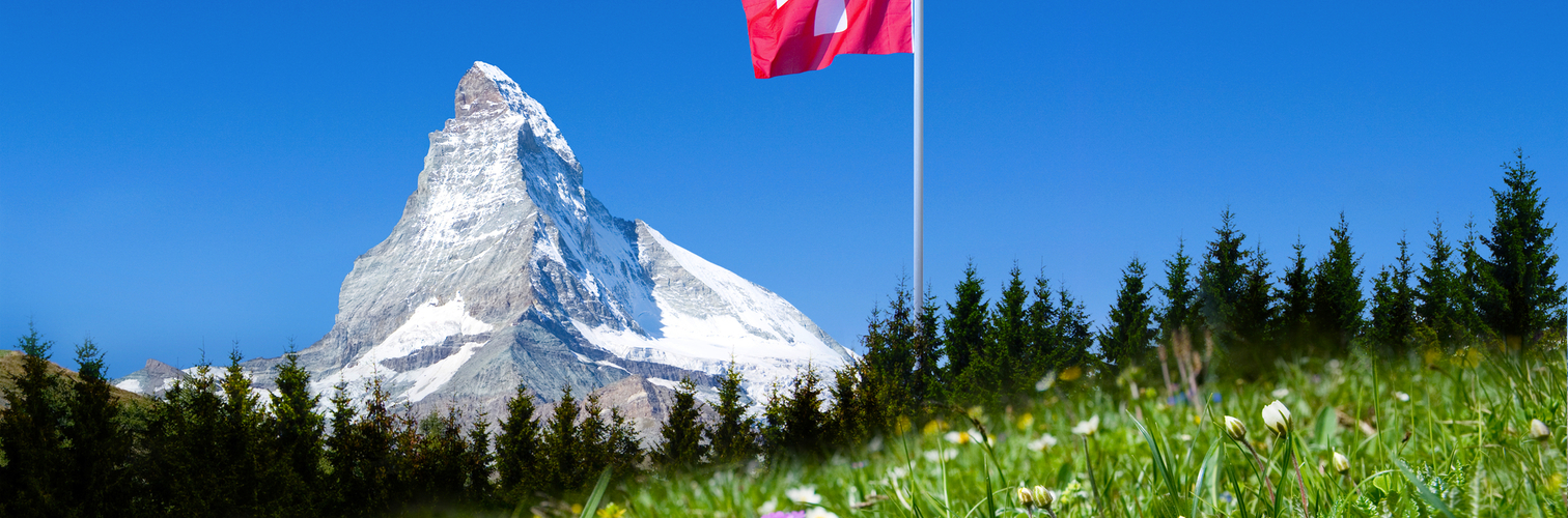 Matterhorn mit Bergwiese