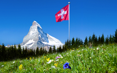 Matterhorn mit Bergwiese