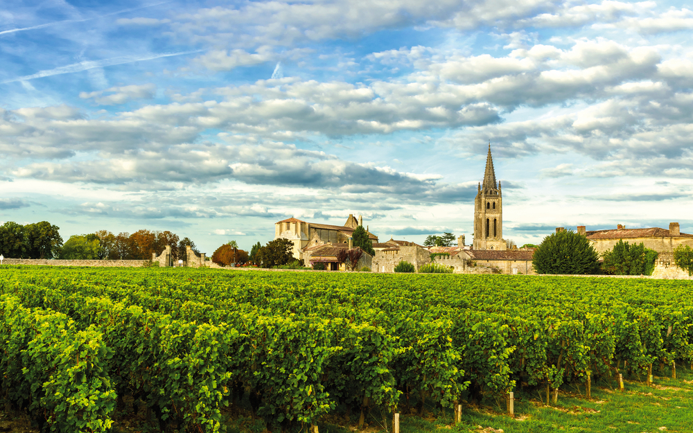 Vineyards of Saint Emilion, Bordeaux Wineyards in France