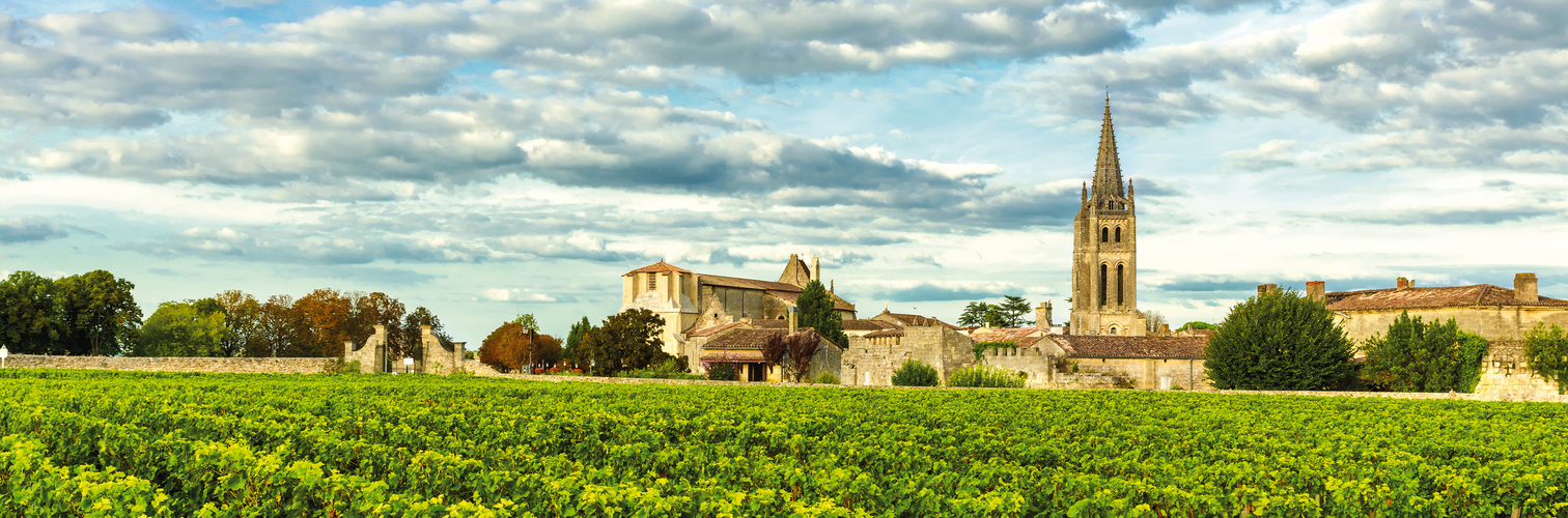 Vineyards of Saint Emilion, Bordeaux Wineyards in France