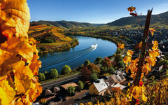 Farbenfrohe Herbststimmung im Moseltal