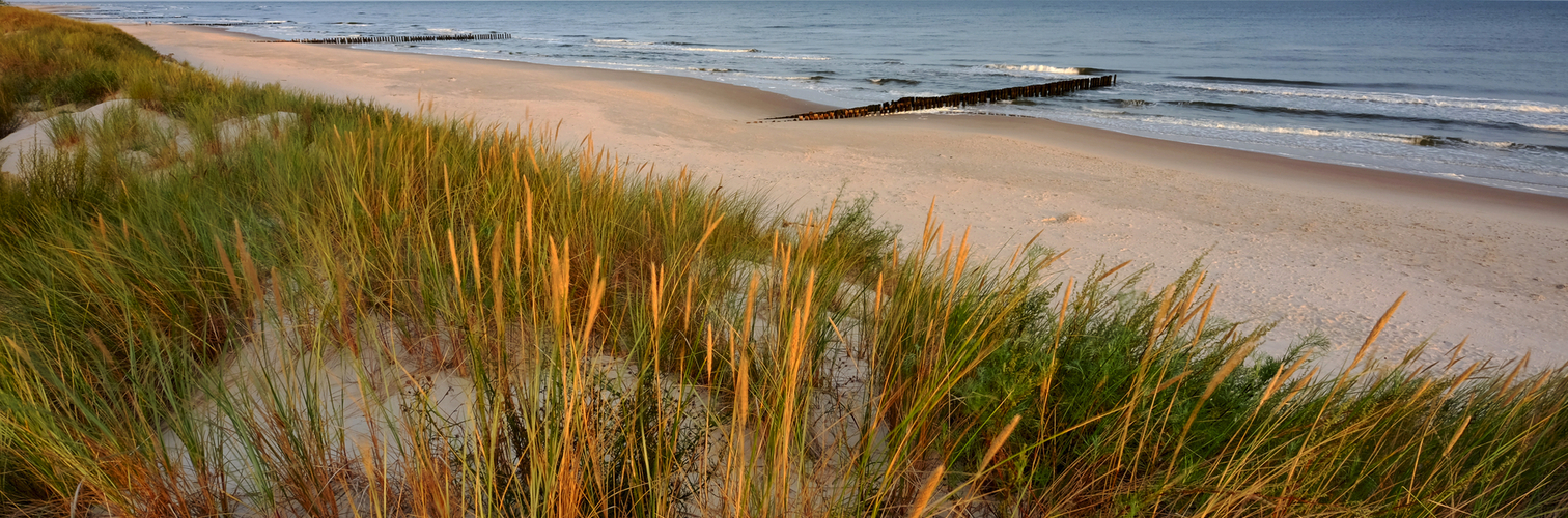 Sanddünen an der Ostseeküste von Kolberger Deep