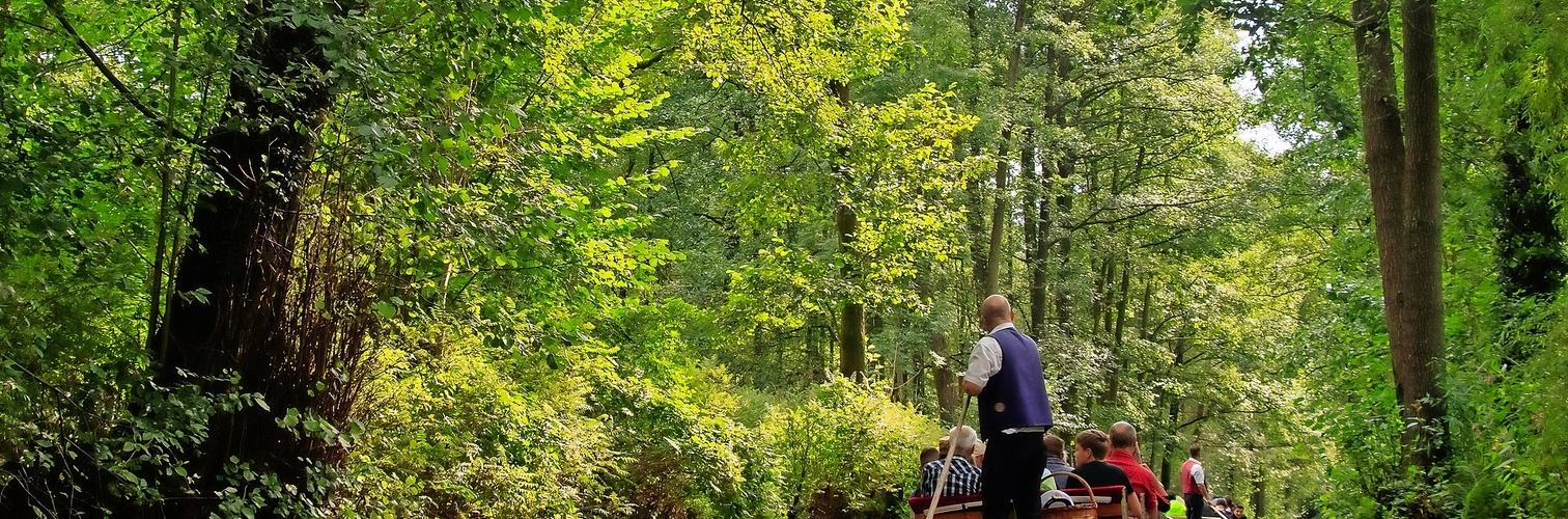 Spreewald