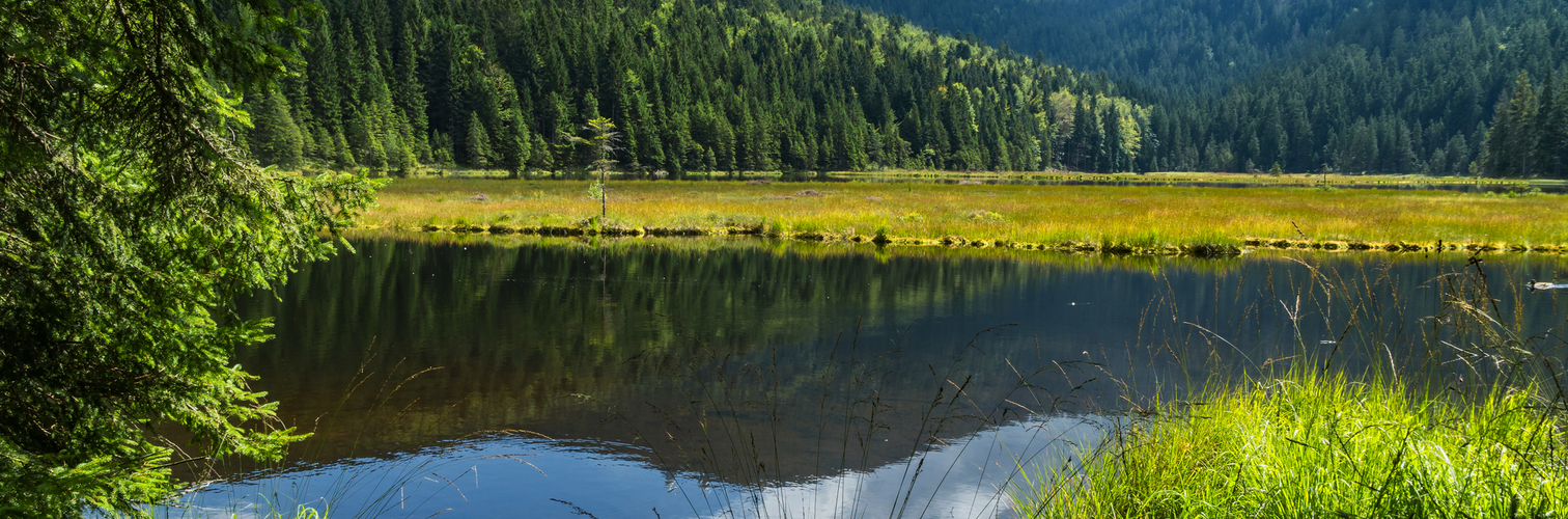 Kleiner Arbersee im Bayerischen Wald