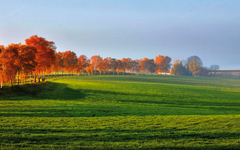 Herbstlandschaft