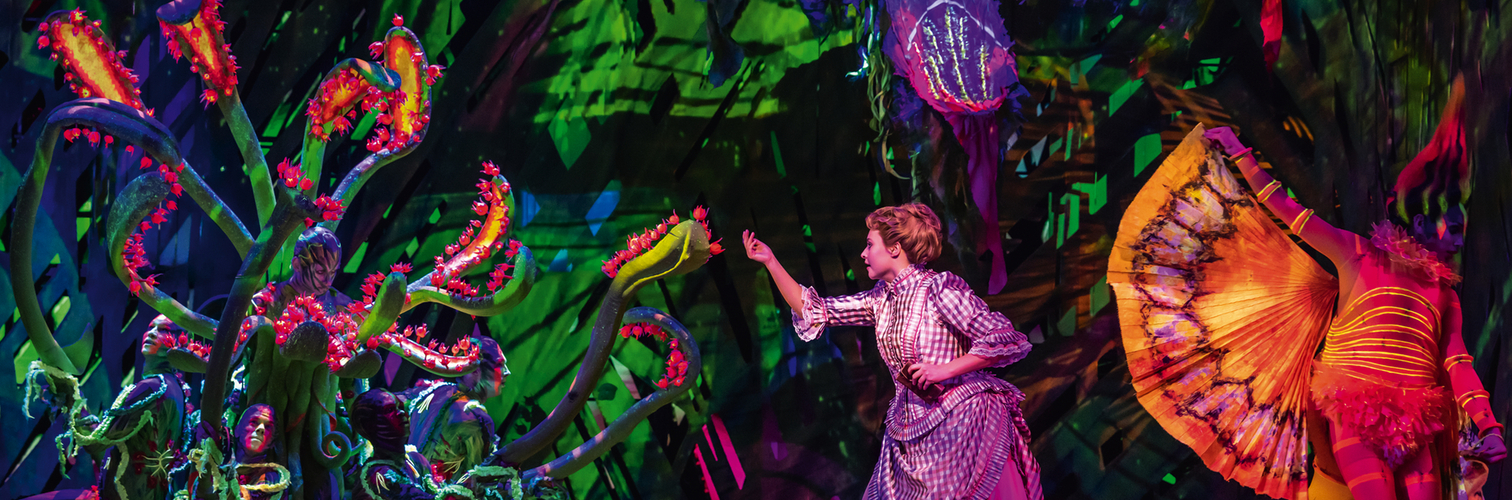 TARZAN -  das Musical