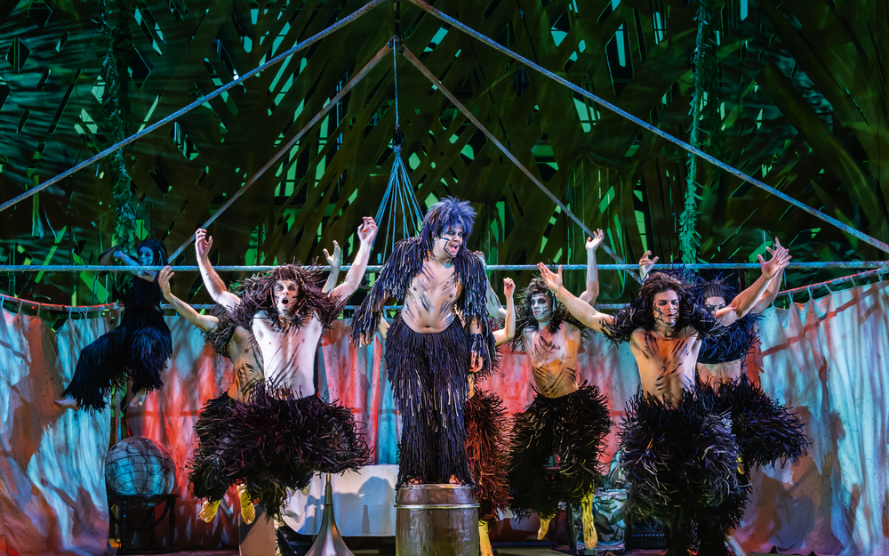 TARZAN -  das Musical