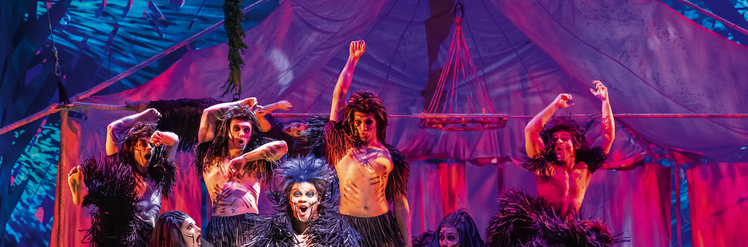 TARZAN -  das Musical