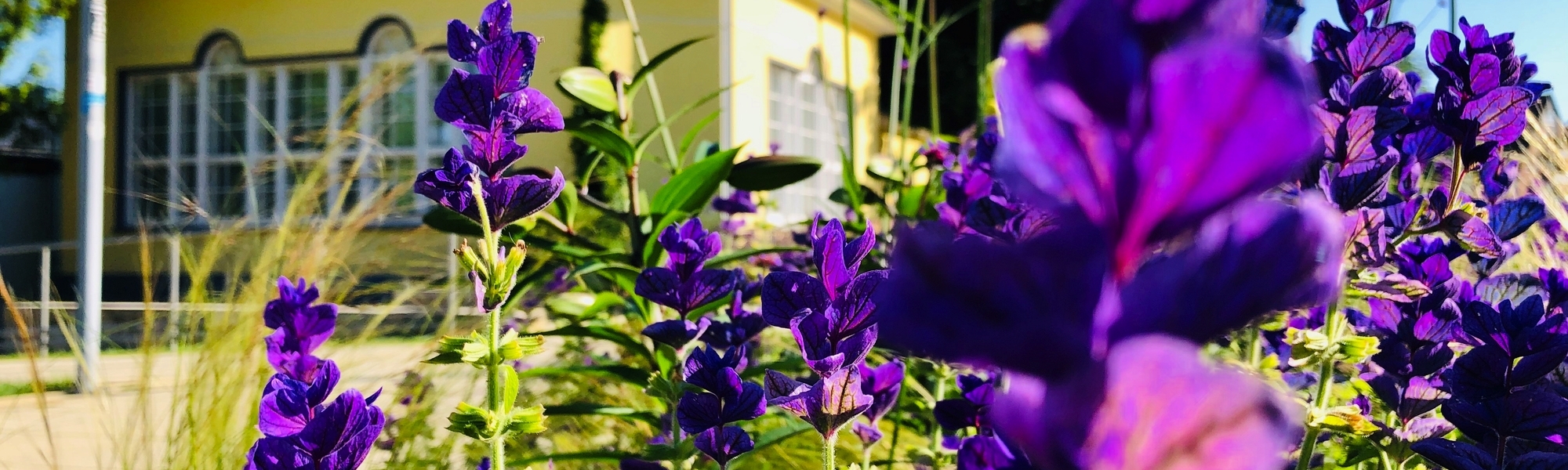 Landesgartenschau in Bad Nenndorf