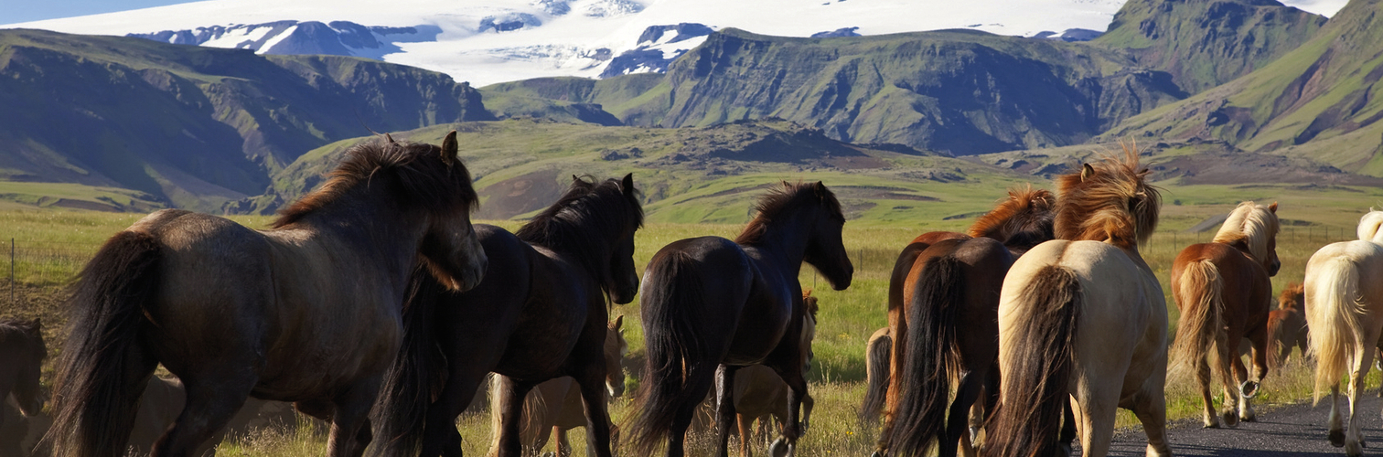 Norwegen und Island – Naturgewalten zum Greifen nah