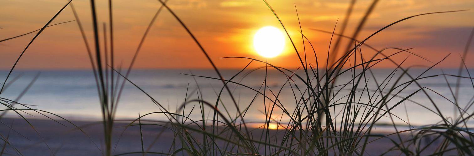 Strandhafer und Sonnenuntergang auf Borkum